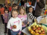 "Tag des Apfels" am 9.11.2007 in der Volksschule